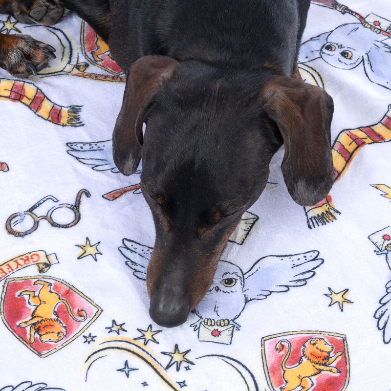 Warner Bros™ Harry Potter Hedwig Pet Blanket 100 x 70 cm (L x W)
