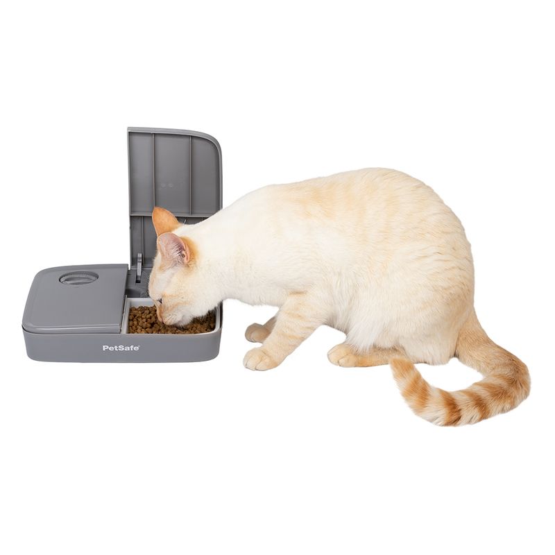 PetSafe® Automatic 2 Meal Pet Feeder 2 x 355ml