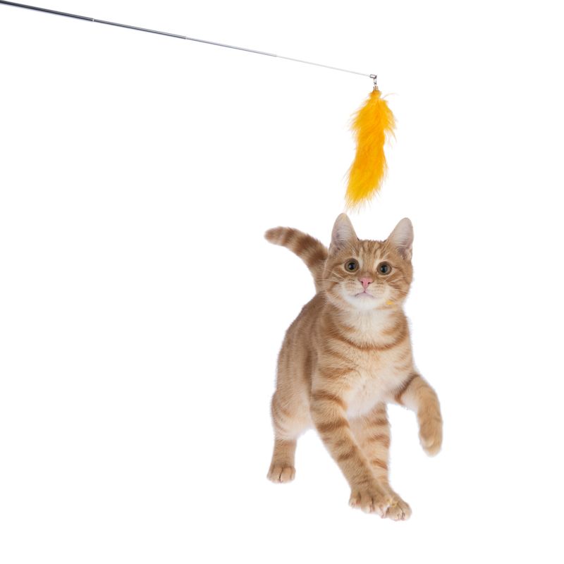 TIAKI Pompom Cat Dangler Toy with LED Pointer 1 Toy