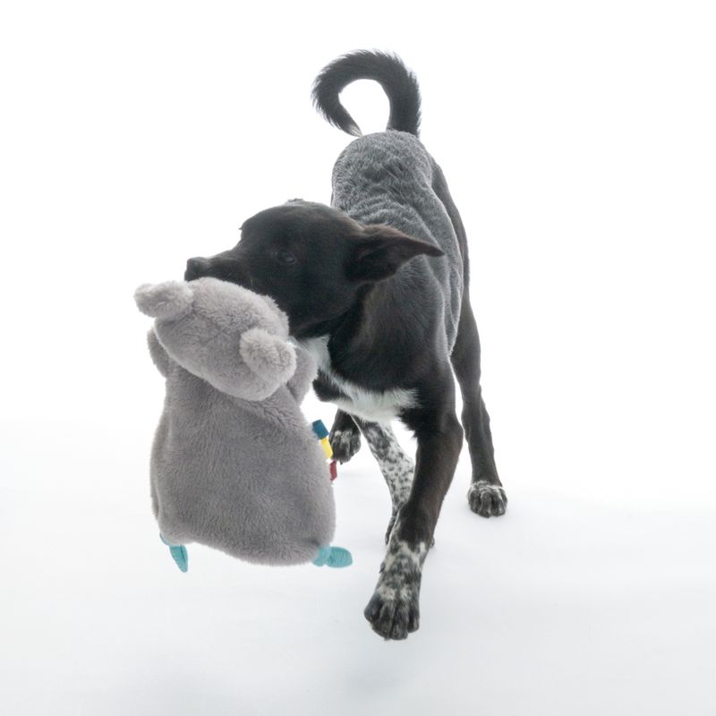 TIAKI Junior Hippo Dog Toy 1 Toy