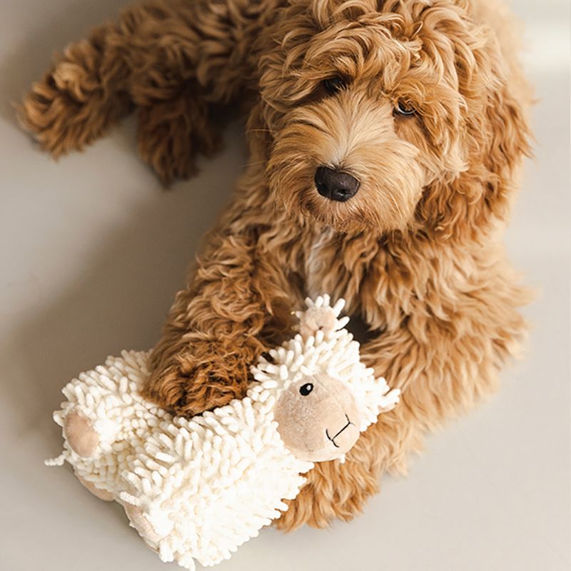 Beeztees ECO Dog Toy Sheep Jovi 26 x 6 x 21cm (L x W x H)