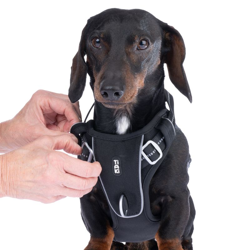 TIAKI Perfect Fit Harness Size S: 48 - 61 cm Chest Circumference
