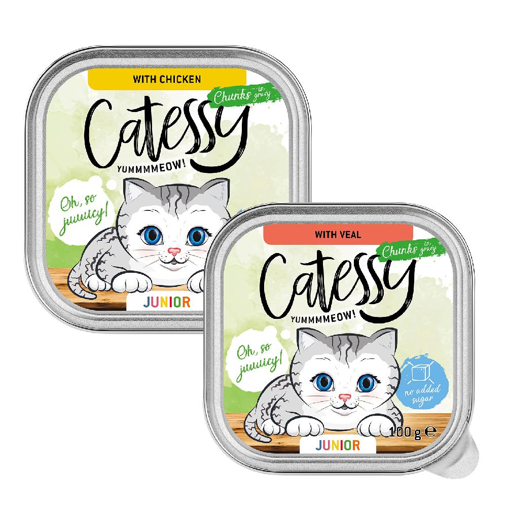 Catessy Junior Chunks in Gravy Mixed Pack Saver Pack: 32 x 100g