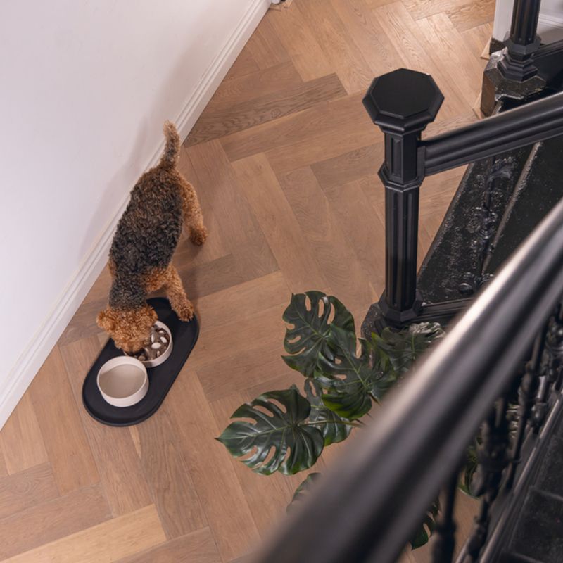 Designed by Lotte Noor Dog Bowl 410ml / 14cm (W)