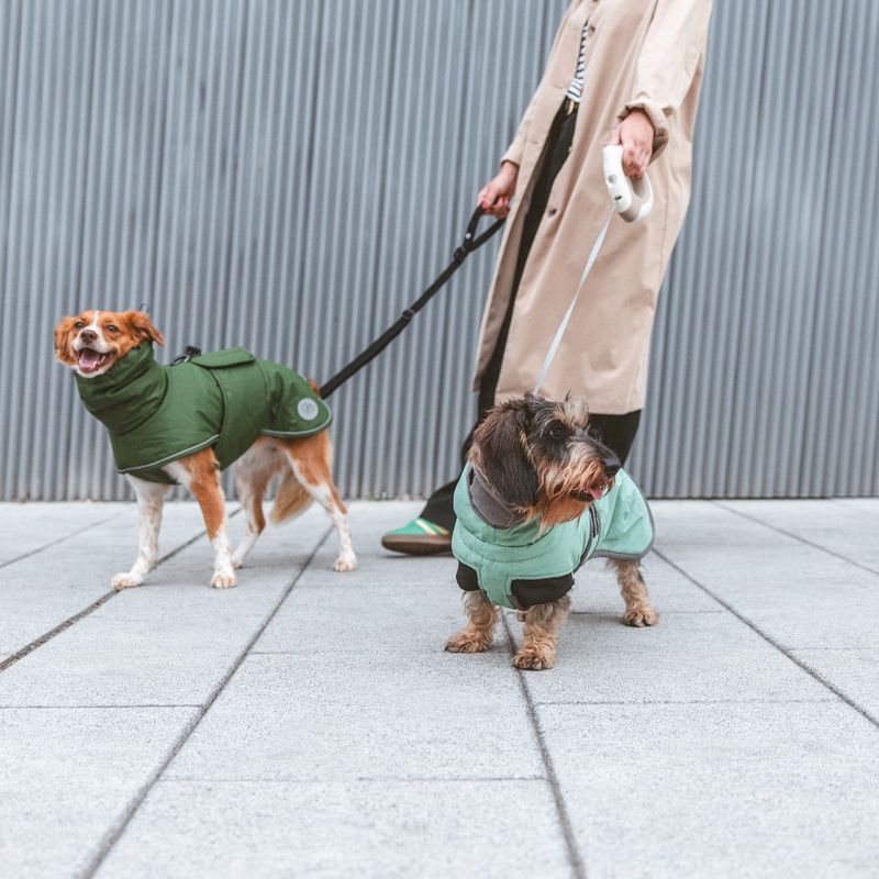 Nomad Tales Bloom Dog Coat - Classic approx. 40cm Back Length