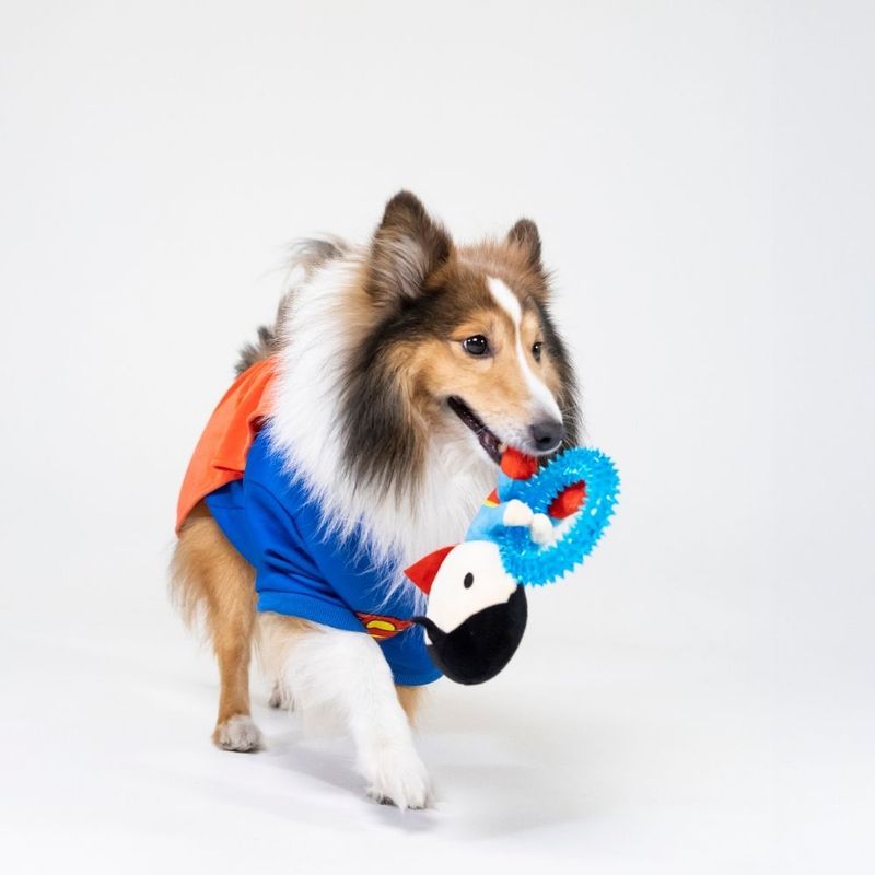 Warner Bros™ DC Superman Dog Toy with Ring Approx. 17 x 16 x 5cm (L x W x H)