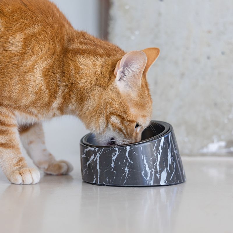 Designed by Lotte Vita Melamine Cat Bowl – Black 2 x 160ml, 13.5cm (diameter)