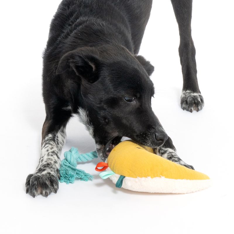 TIAKI Junior Dog Toy Moon 1 Toy