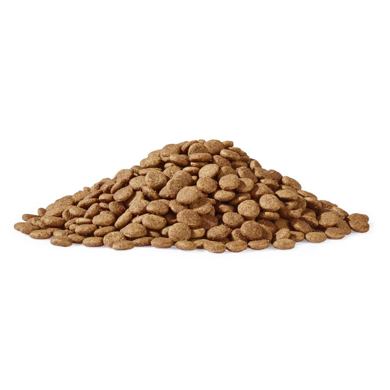 Dogs'n Tiger Senior Kitchen Hunter Chicken & Duck 1.5kg