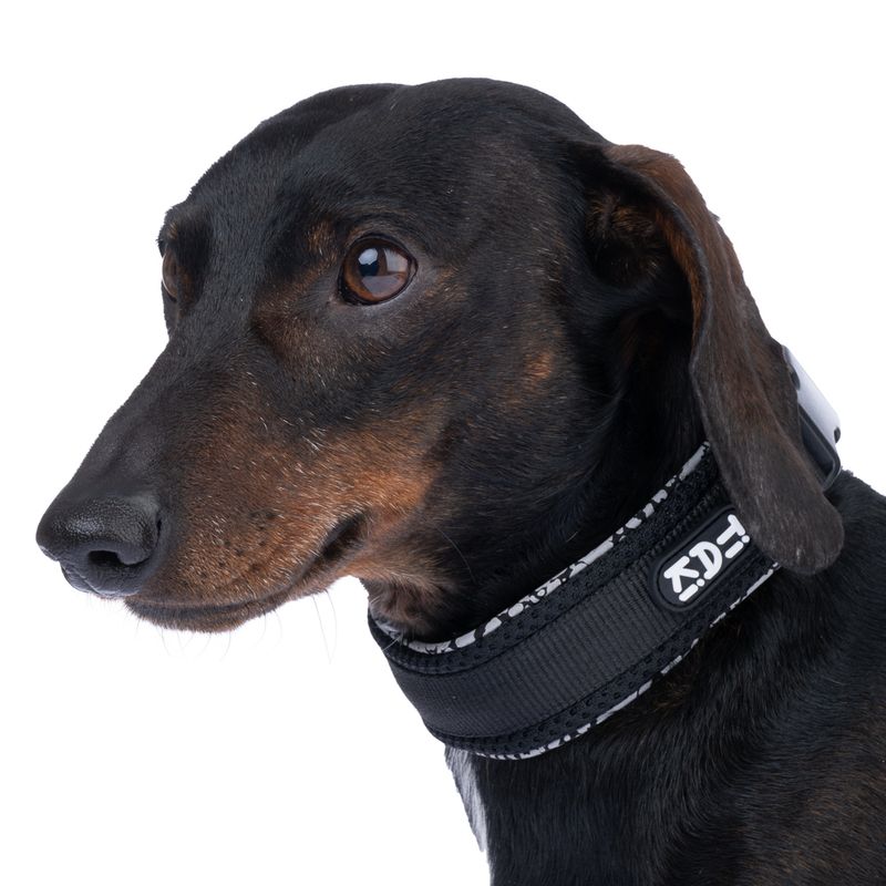 TIAKI Reflective Collar Size S: 25 - 35 cm Neck Circumference, 20mm Width