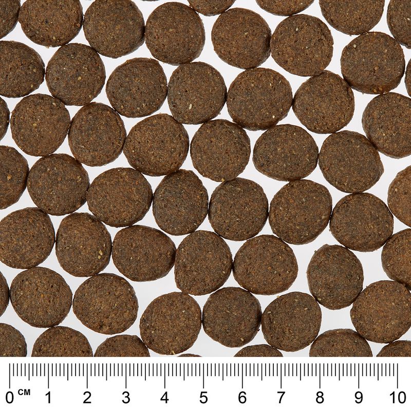 Greenwoods Economy Pack 2 x 12kg Turkey with Sweet Potatoes, Peas & Pumpkin