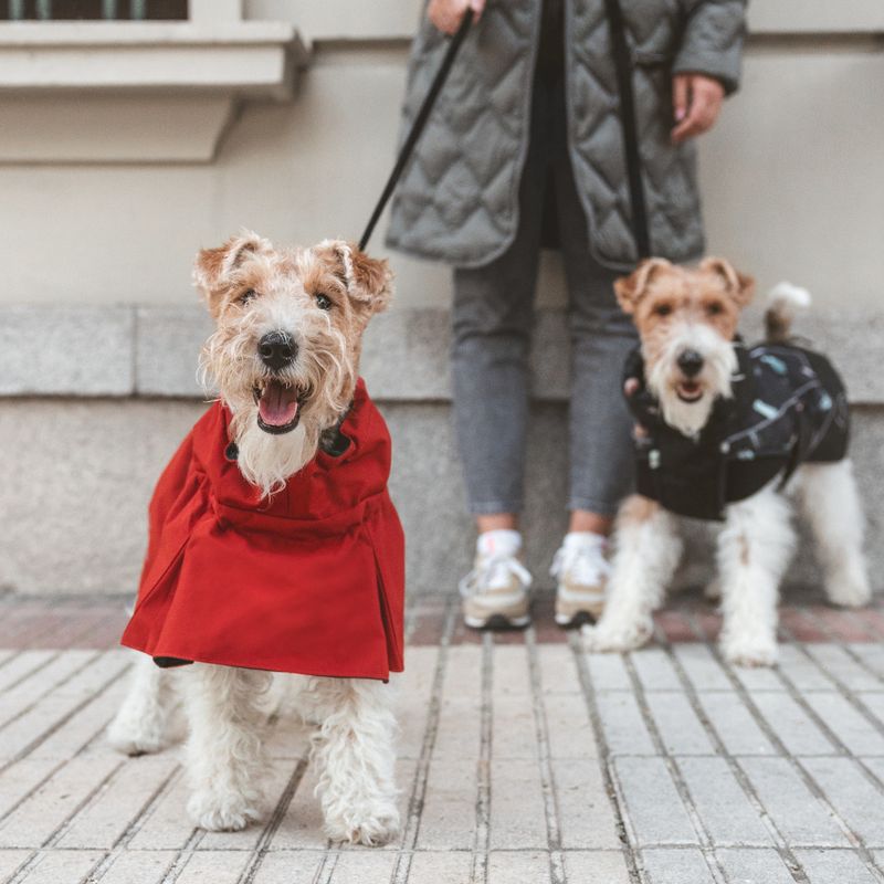 Nomad Tales Spirit Dog Raincoat - Copper approx. 40cm Back Length