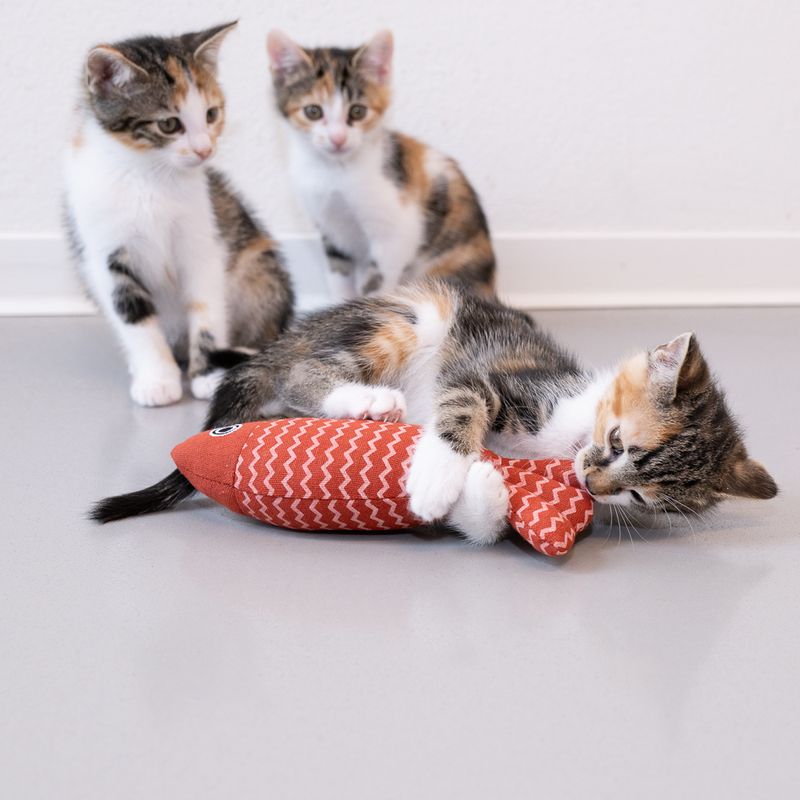 Modern Living Cadaques Fish Cat Toy 1 Toy