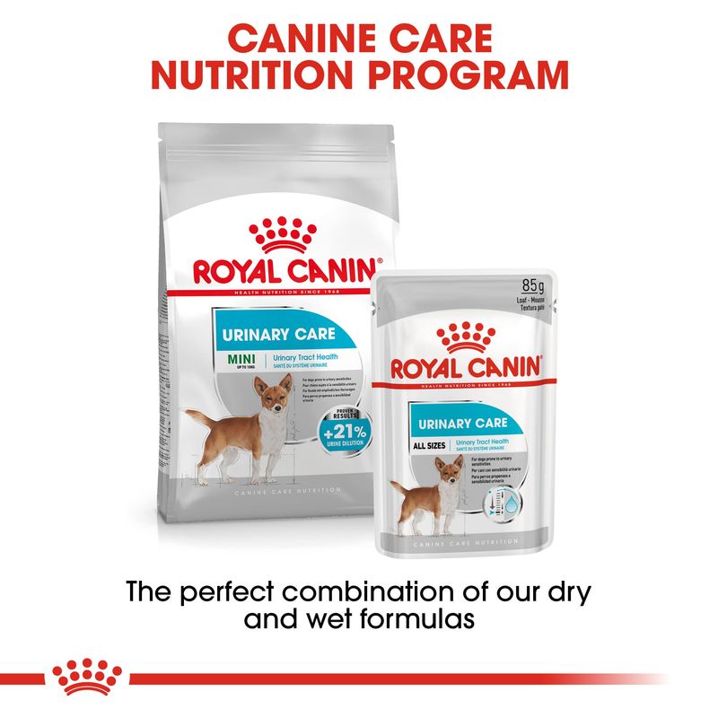 Royal Canin Mini Urinary Care 3kg
