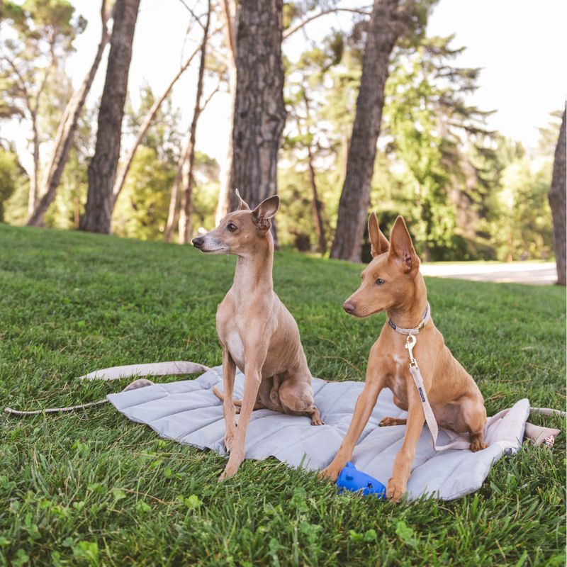 Nomad Tales Calma Stone Travel Dog Mat 80 x 60 cm (L x W)