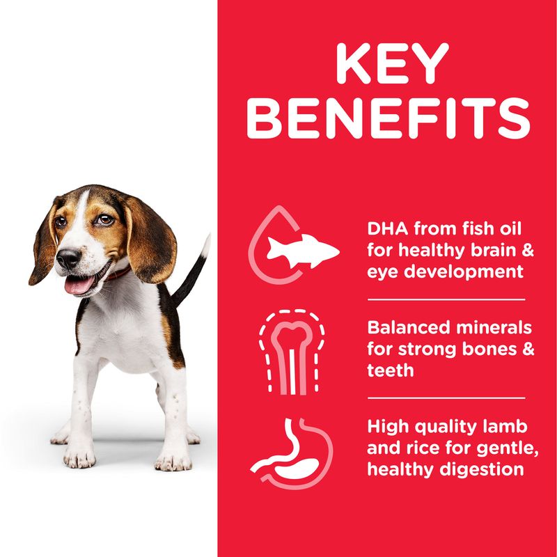 Hill’s Science Plan Puppy