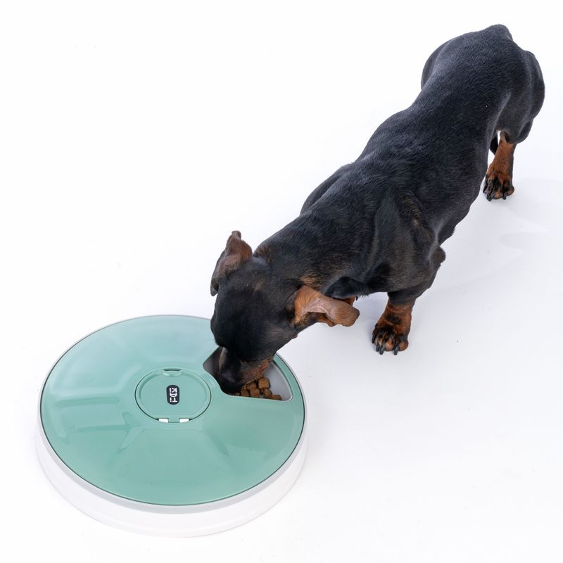 TIAKI Automatic Feeder 6 x 70g