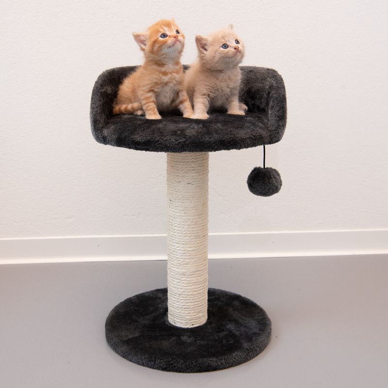 Enio Cat Tree Dark Grey