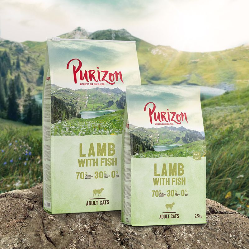 Purizon Adult Grain-Free Lamb with Fish 400g