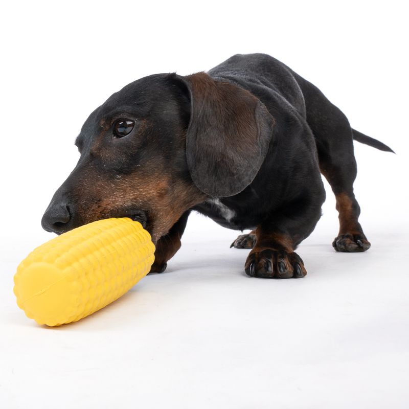 TIAKI Rubber Corn on the Cob Treat Toy approx. diameter 5 x (L) 14.5 cm