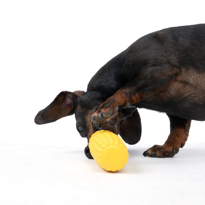 TIAKI Rubber Corn on the Cob Treat Toy approx. diameter 5 x (L) 14.5 cm