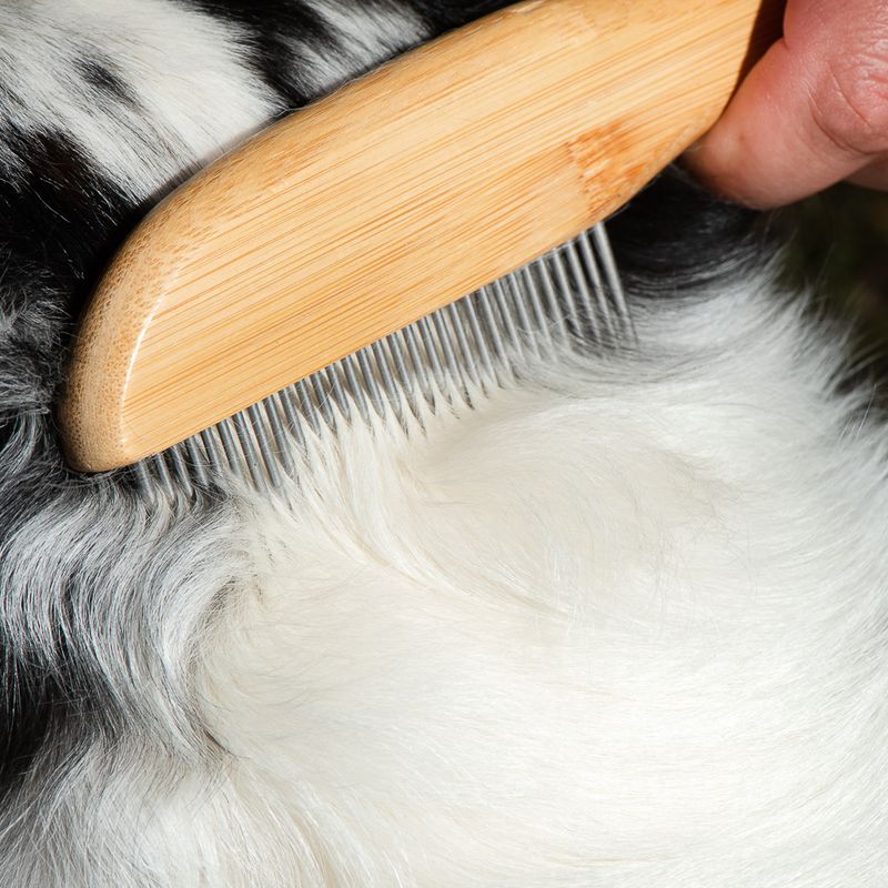 kooa Bamboo Comb with Rotating Pins 21.5 x 5.5cm (L x W)