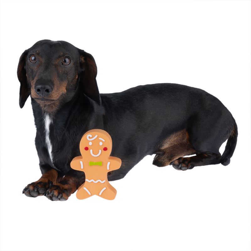 TIAKI Gingerbread Dog Toy 1 Toy