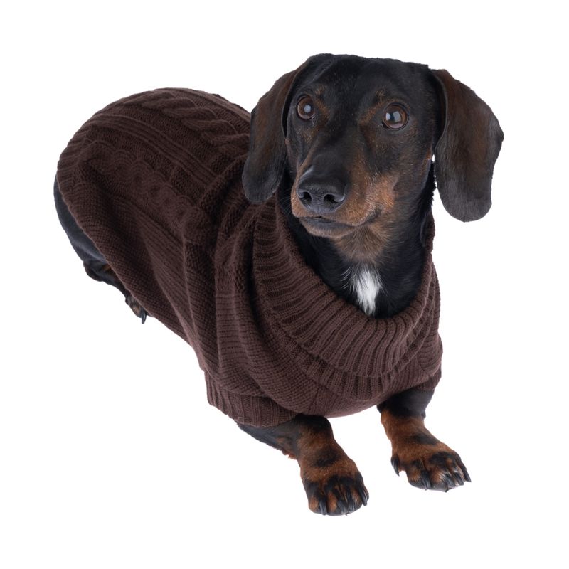 zooplus Basics Brown Dog Jumper approx. 35cm Back Length