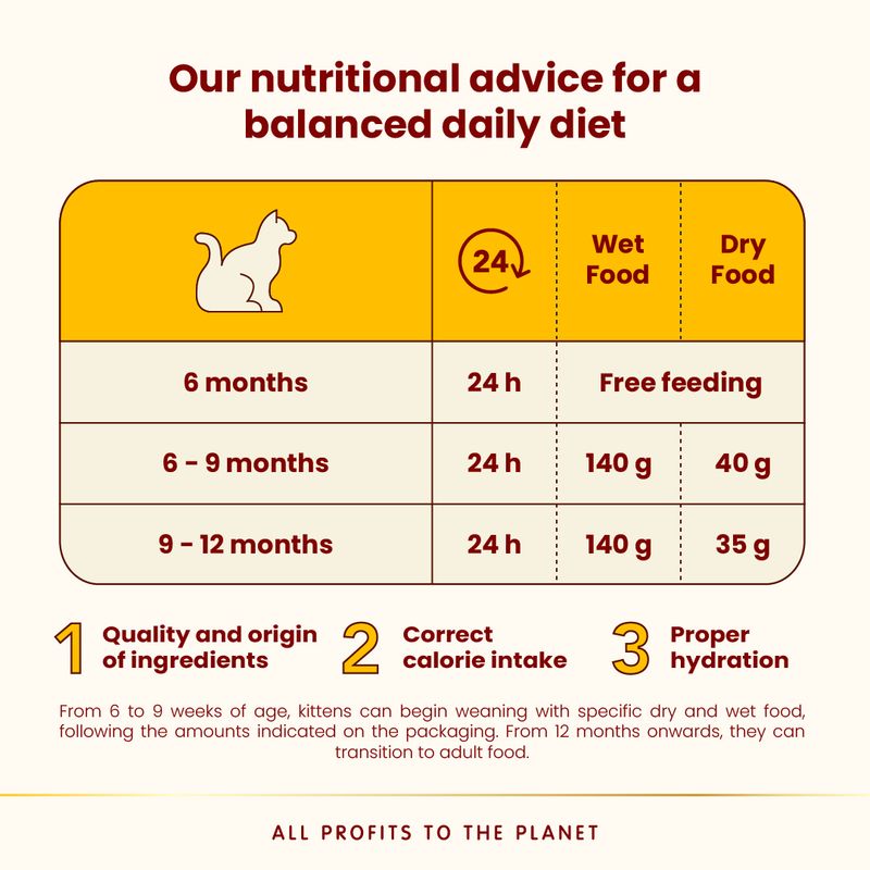 Almo Nature HFC Natural Cans Saver Pack 24 x 70g Atlantic Tuna