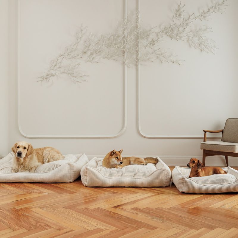 Modern Living Dog Bed Helena L: 65 x W x H 60 x 18 cm, beige