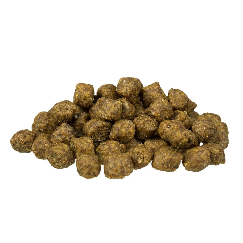 bosch Adult Mini Lamb & Rice Dry Dog Food 15kg