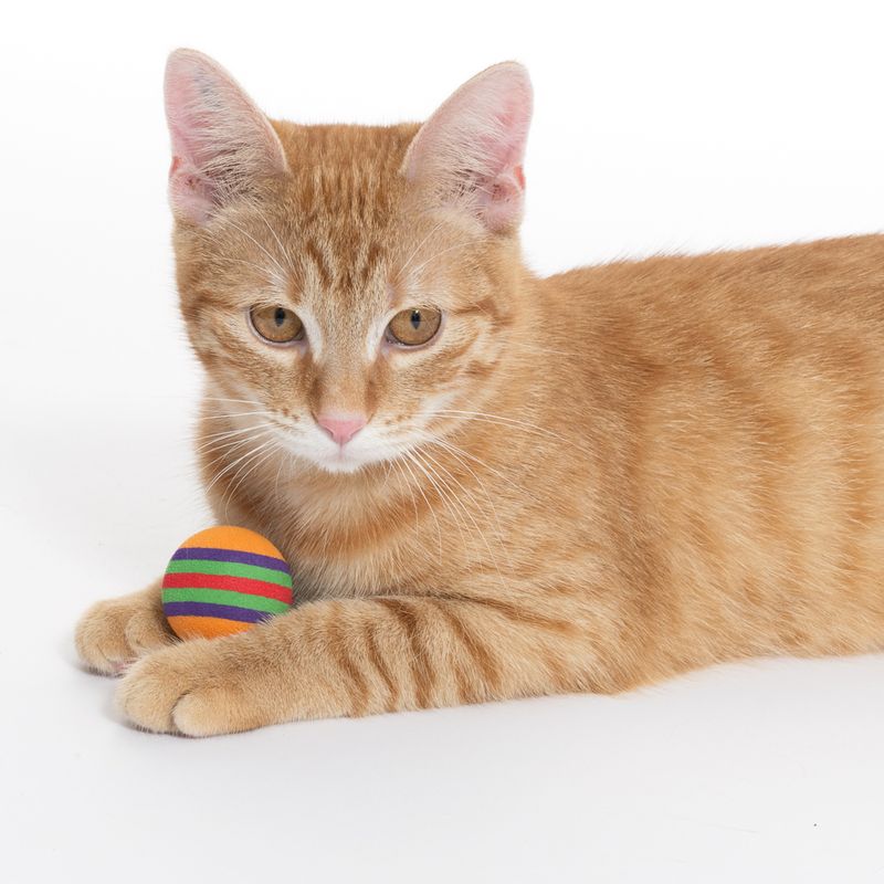 zooplus Basics Foam Ball Set for Cats Set of 8