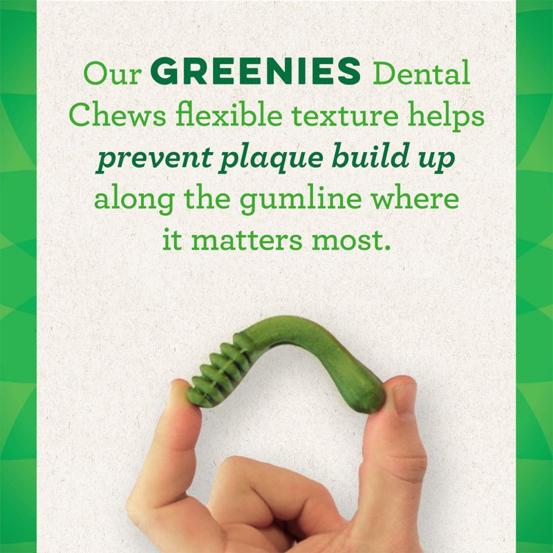 Greenies Canine Dental Chews Teenie (170g / 22 treats.)