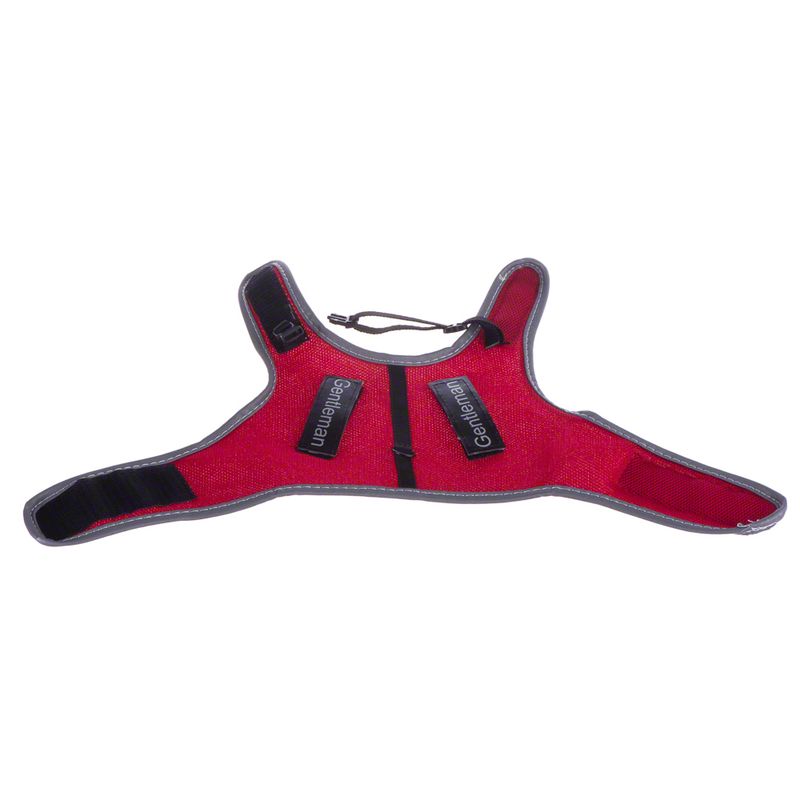 Trixie XCat Harness with Lead and Exclusive Stickers Black