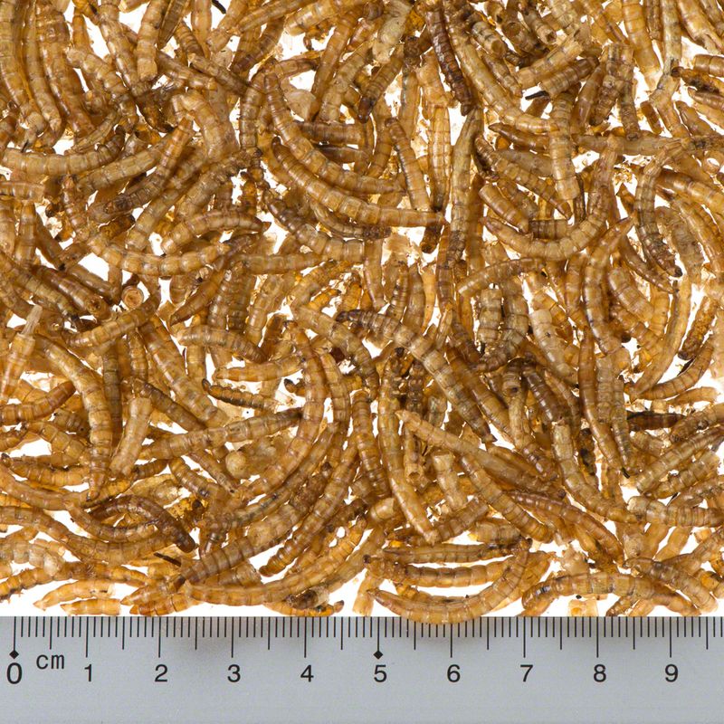 Lillebro Dried Mealworms 500g