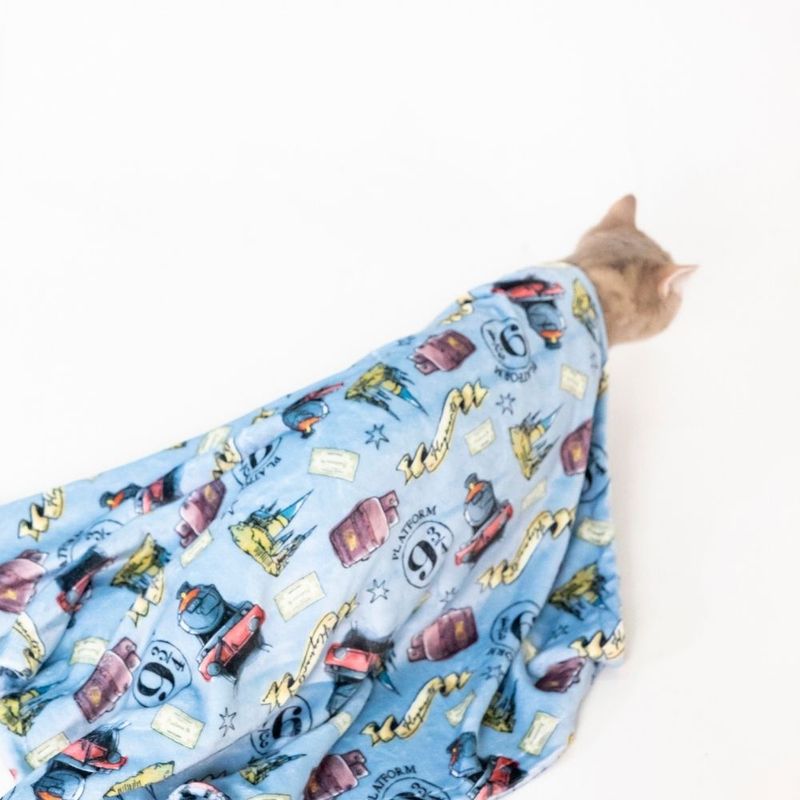 Warner Bros™ Harry Potter Hogwarts Express Pet Blanket 100 x 70 cm (L x W)