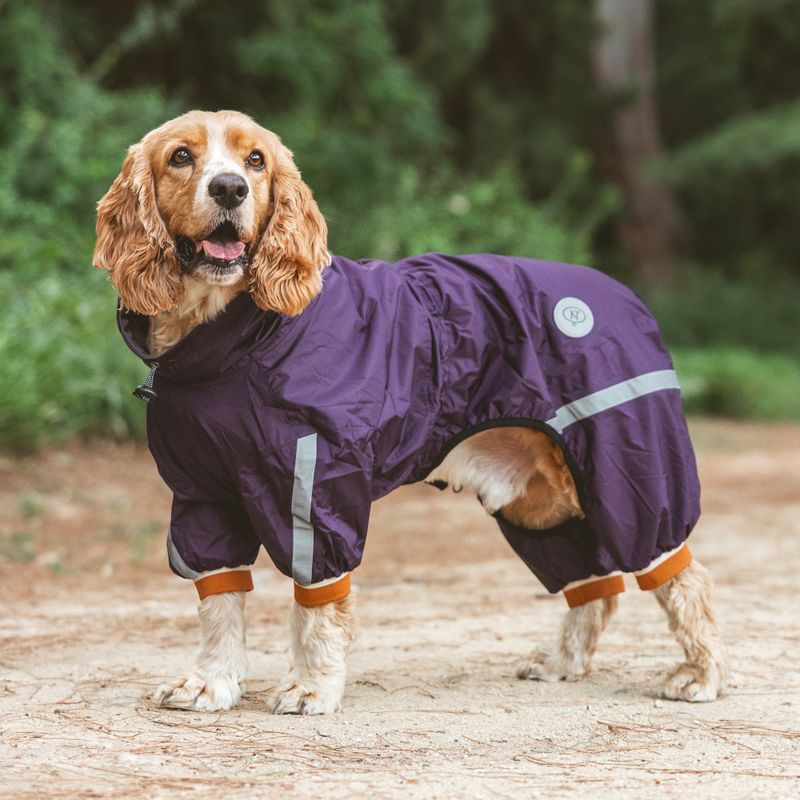 Nomad Tales Spirit Dog Overalls - Berry approx. 35cm Back Length