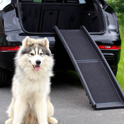 Lionto Plastic Dog Ramp 156 x 40 x 8cm (L x W x H)