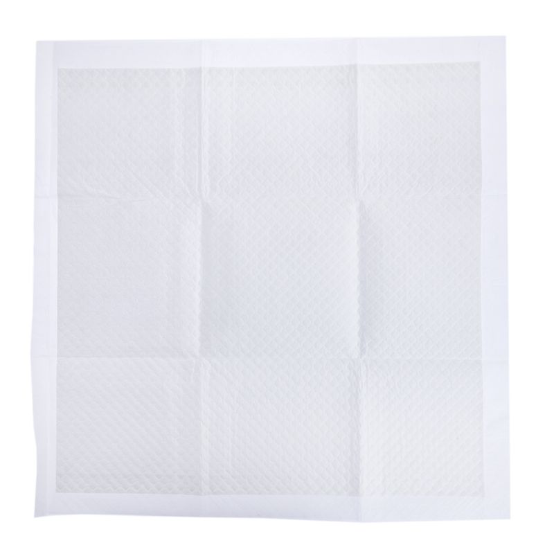 zooplus Basics Training Pads for Puppies 48 x 48 cm (L x W), 50 Pads