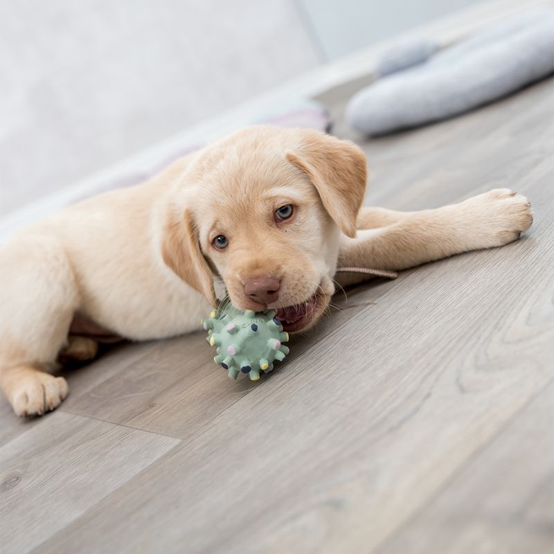 Trixie Junior Mini Dumbbell approx. 10 cm