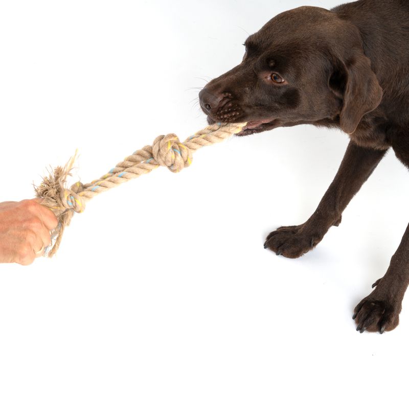 Modern Living Menorca Double Knot Rope Toy approx. 32 x 5 x 5cm (L x W x H)