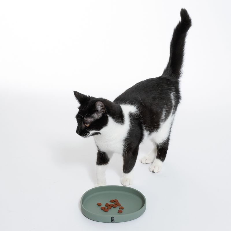 TIAKI Silicone Cat Bowl 300ml