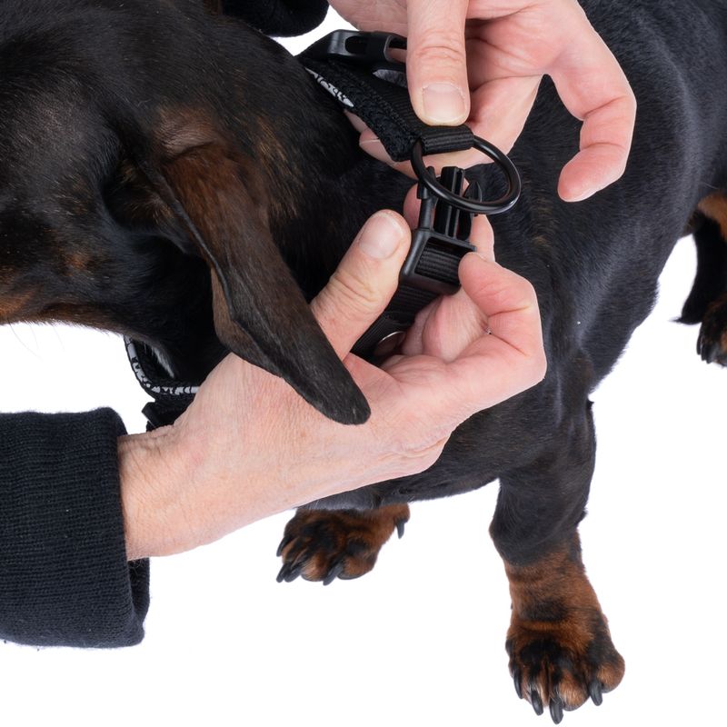 TIAKI Reflective Collar Size S: 25 - 35 cm Neck Circumference, 20mm Width