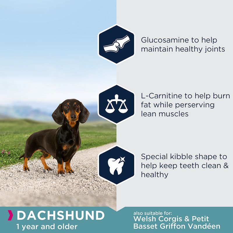 Eukanuba Dachshund Adult 2.5kg