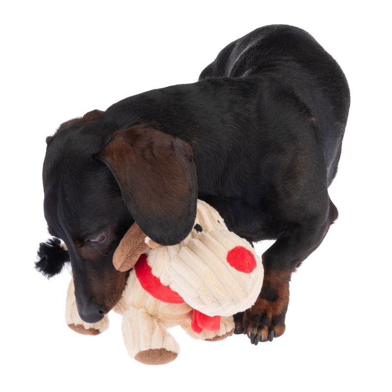TIAKI Rudolph Dog Toy 1 Toy