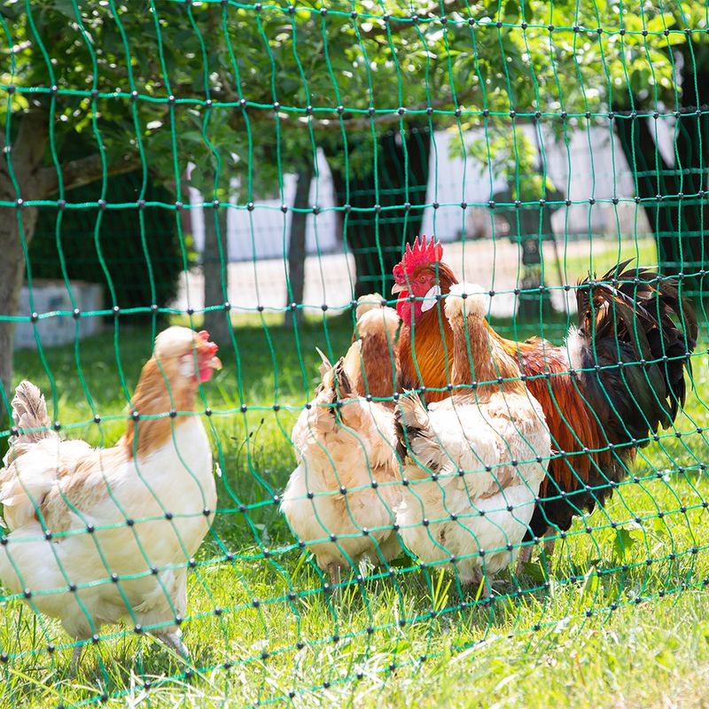 Kerbl Double Tip Powerless Poultry Net 25m x 106cm (L x W)