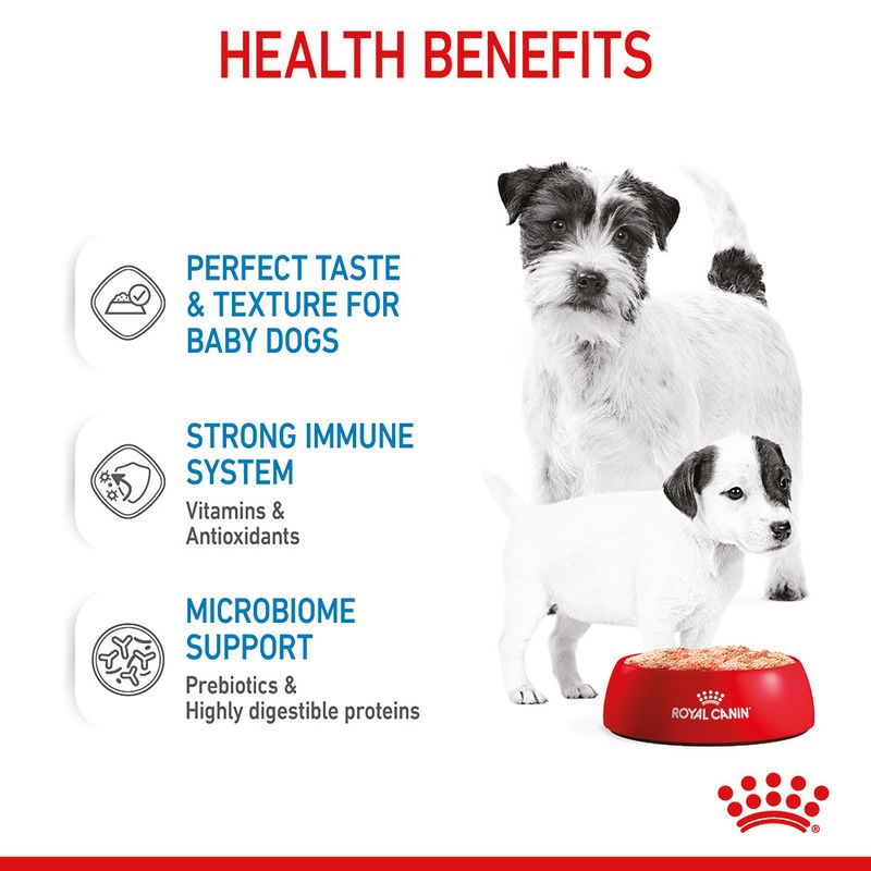 Royal Canin Starter Mousse Mother & Babydog 12 x 195g