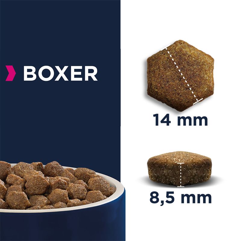 Eukanuba Boxer Adult 12kg