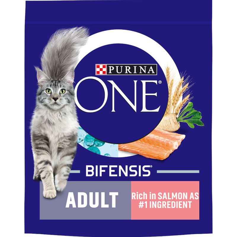 PURINA ONE Adult Salmon & Whole Grains Dry Cat Food 9.75kg