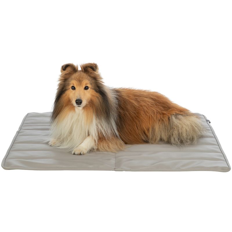 Trixie CityStyle Travel Blanket 80 x 80cm